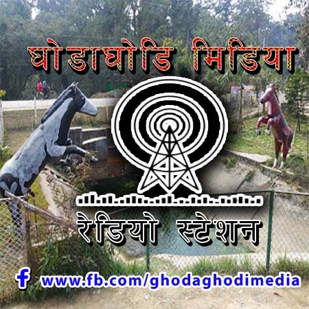 स्थानीय एफ.एम. रेडियो: गाउँगाउँसम्म सूचना